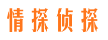 秦淮寻人公司